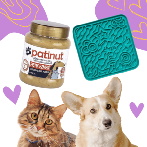 Patinut Ödül Maması - Fıstık Ezmeli - 340 gr + Turkuaz O'yalama Matı (Lick Mat)
