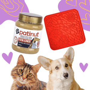 Patinut Ödül Maması - Fıstık Ezmeli - 340 gr + Turuncu O'yalama Matı (Lick Mat)