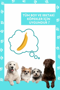 Patinut Ödül Maması - Fıstık Ezmeli - 340 gr + Kauçuk Muz Köpek Oyuncağı